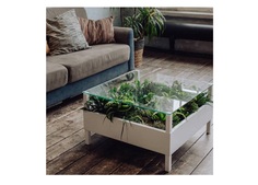 Журнальный столик с натуральными растениями (wowbotanica) белый 70x40x70 см.
