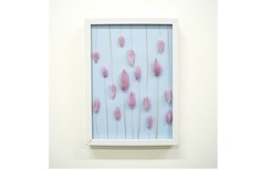 Панно с розовым лагурусом (wowbotanica) голубой 23x32 см.