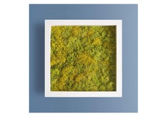 Панно с зелёным мхом (wowbotanica) зеленый 25x25 см.