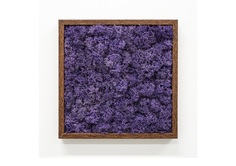Панно с фиолетовым мхом (wowbotanica) фиолетовый 25x25 см.