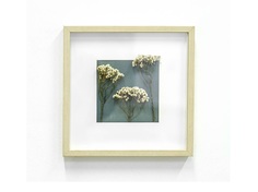 Панно с тысячилистником (wowbotanica) бежевый 25x25 см.