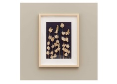 Панно с полевыми сухоцветами (wowbotanica) бежевый 32x42 см.
