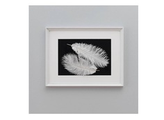 Панно с перьями страуса (wowbotanica) белый 32x42 см.