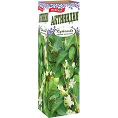 Растение Актинидия мужская в коробке С2 1 шт Без бренда