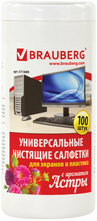 Чистящие салфетки Brauberg для экранов и пластика, с ароматом астры, 100 шт (511689)