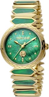 Женские часы в коллекции Logo Женские часы Roberto Cavalli by Franck Muller RV1L140M0031