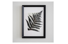 Панно с папоротником (wowbotanica) черный 23x32 см.