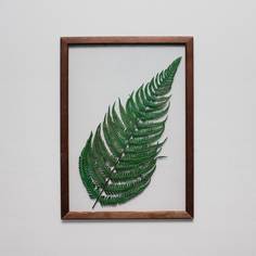 Картина с листом папоротника (wowbotanica) зеленый 23x32 см.