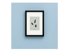 Постер с оттиском зайцехвоста (wowbotanica) серый 23x32 см.