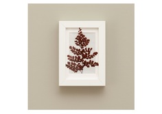 Картина с бордовым папоротником (wowbotanica) белый 12x17 см.