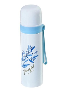 Термос Take It Easy 500ml 2969314