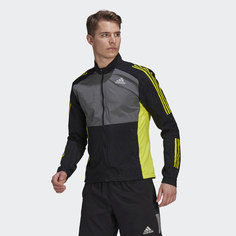 Олимпийка adidas Performance