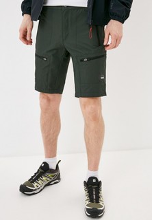 Шорты Icepeak CARLTON