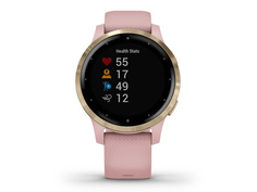 Умные часы Garmin Vivoactive 4s Pink-Rose Gold 010-02172-33