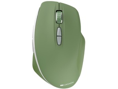 Мышь Canyon CNS-CMSW21SM