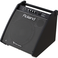 Монитор для барабанов Roland