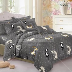 Постельное белье Cleo полутораспальное полисатин (простыня 150х220 см, 2 наволочки 70х70 см, пододеяльник 145х215 см) 15/038-AC