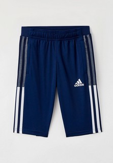 Капри adidas TIRO21 3/4 PNTY