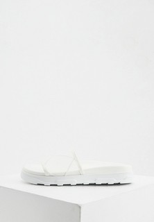 Сланцы Iceberg 