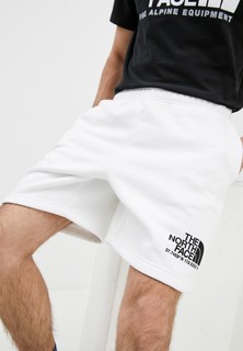 Шорты спортивные The North Face M LOGO PLUS SHORT