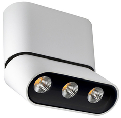 Cпот LUMIEN-HALL "Фергус" (8005/3CS-WT-BK)