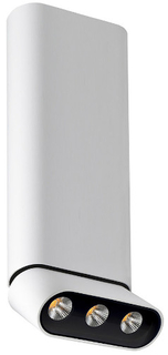 Cпот LUMIEN-HALL "Фергус" (8005/3CL-WT-BK)