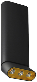 Cпот LUMIEN-HALL "Фергус" (8005/3CL-BK-GD)