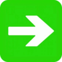 Наклейка Duck and Dog 52 направляющая стрелка 100х100