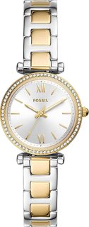 Женские часы в коллекции Carlie Mini Женские часы Fossil ES4955