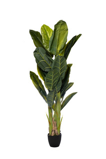 Банановый куст в горшке (garda decor) зеленый 180 см.
