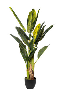 Банановый куст в горшке (garda decor) зеленый 120 см.