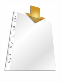 Папка Durable А4 Transparent 2656-19