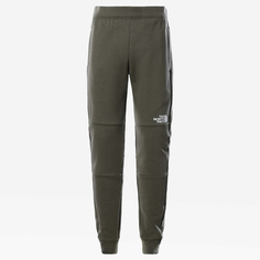 Детские брюки Boys Slacker Pant New Taupe Green The North Face