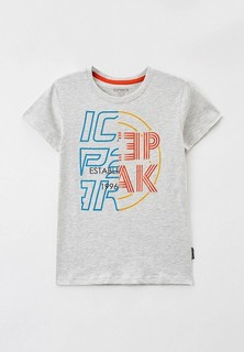 Футболка Icepeak 