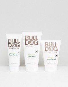 Набор средств по уходу за кожей Bulldog - Скидка 30%-Бесцветный