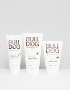 Набор средств по уходу за кожей Bulldog - Скидка 30%-Бесцветный