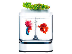 Аквариум Xiaomi Geometry Mini Lazy Fish Tank Pro C300