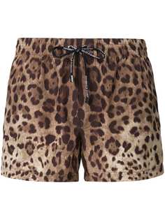 Dolce & Gabbana плавательные шорты с леопардовым принтом