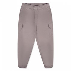 Мужские брюки Mineral Grey The North Face