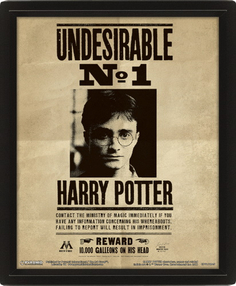 3D-постер Pyramid Harry Potter: Potter/Sirius (EPPL71245)