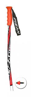 Палки г/л RACE GS curved Fizan