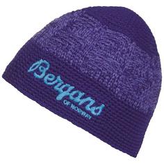 *Шапка Tryvann Youth Beanie Bergans