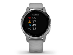 Часы Garmin Vivoactive 4s Grey-Silver 010-02172-03