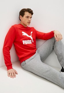 Свитшот PUMA Classics Logo Crew TR