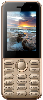Мобильный телефон Vertex D567 (золотой)