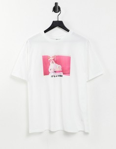 Asos Snik 2