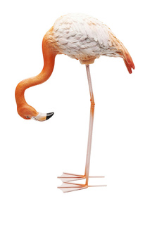 Статуэтка Flamingo 40х58х16 Kare