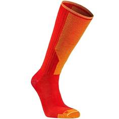Носки Alpine Thin Compression Seger