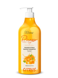 BB One, Шампунь Picasso Citrus Fantasy Shampoo, 300 мл