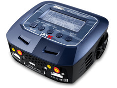 Зарядное устройство SkyRC D100 V2 AC/DC SK-100131-02